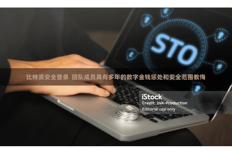 比特派安全登录 团队成员具有多年的数字金钱惩处和安全范围教悔