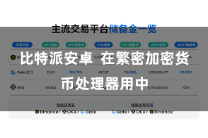 比特派安卓  在繁密加密货币处理器用中