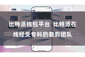 比特派钱包平台  比特派在线经受专科的裁剪团队